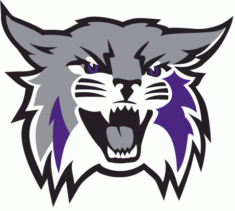 Weber State Wildcats 2012-Pres Primary Logo vinyl decal